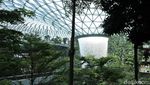 Kerennya Jewel di Bandara Changi: Dari Hutan Sampai Robot