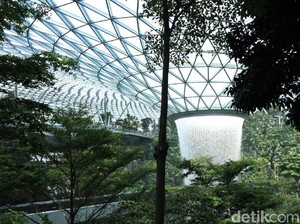 Menakjubkan! Hutan Avatar di Jewel Changi