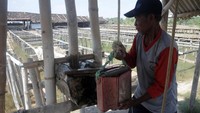 Proses pembuatan garam ini dimulai dari menimba air sumur sedalam 25 meter.