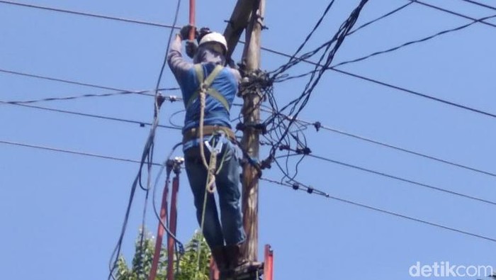 Perusahaan Listrik Negara (PLN) melakukan perbaikan jaringan