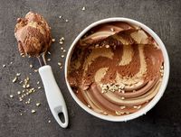 Siapa Mau Cicip? Dingin Segar Es Krim Ini Terbuat dari Lalat Hitam