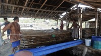 Air sumur tersebut kemudian disalurkan melalui pipa-pipa yang terhubung ke penampungan. Dari penampungan itu, para petani garam kemudian memindahkan air ke bilahan bambu yang disebut warga klakah.