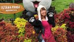 Foto Kimi Hime Jalan-jalan, Ikut Dong!