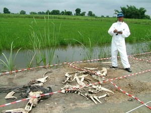 Sungguhan Ada, Ini Peternakan Mayat!