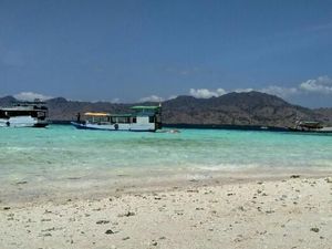 Tempat yang Wajib Didatangi di Taman Nasional Komodo