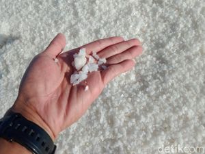 Sedih, Sudah 3 Tahun Garam Petani di Lombok Nggak Laku