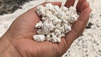 Penggemar popcorn jangan sampai tertipu ya. Ini bukan camilan favorit Anda tapi batu unik bewarna putih di pantai Fuerteventura. Foto: Istimewa