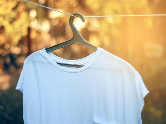 mencuci baju putih Senior washwoman hanging a shirt on the hanger standing in the professional laundry