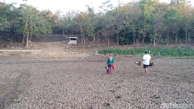 Telaga di Gunungkidul mengering. 
