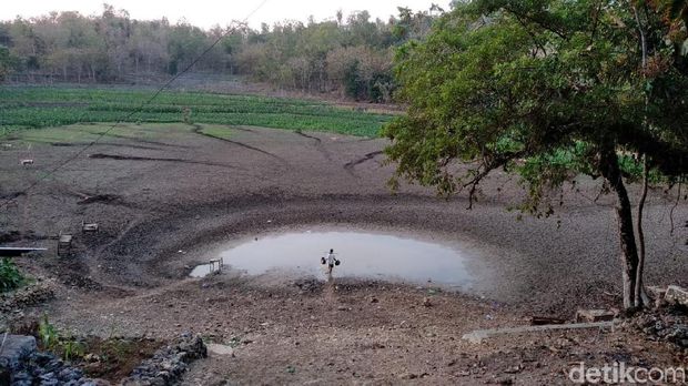 Telaga di Gunungkidul mengering. 