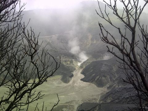 Foto/Tangkuban Parahu/Dok. DetikTravel