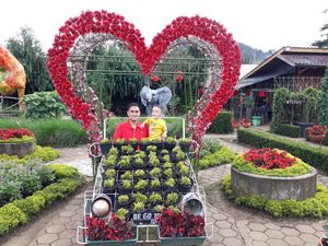 Aneka Kebun Bunga Cantik di Lembang, Buat Akhir Pekan Kamu