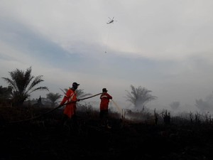 4 Wilayah di Riau Dikepung Asap Karhutla