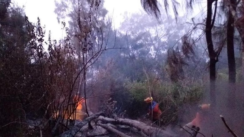 Bara dan Titik Api Masih Muncul di Gunung Panderman Bara dan Titik Api Masih Muncul di Gunung Panderman