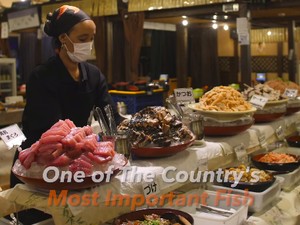 Penggemar Seafood, Di Sini Ada AYCE Sashimi Harga Ekonomis!