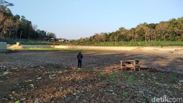 Telaga yang mengering di Gunungkidul.