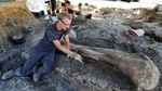 Tulang Dinosaurus Raksasa Ditemukan di Prancis