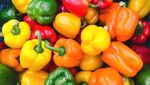 Kamu Sudah Tahu? 15 Makanan Ini Tak Perlu Disimpan di Kulkas Lho!