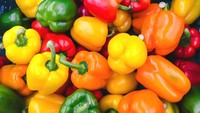 Paprika juga lebih baik disimpan di luar kulkas agar rasanya lebih maksimal. Jejak rasa manisnya akan lebih terasa dibanding saat paprika disimpan di kulkas.