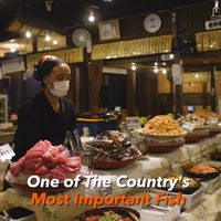 Penggemar Seafood, Di Sini Ada AYCE Sashimi Harga Ekonomis!