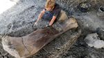 Tulang Dinosaurus Raksasa Ditemukan di Prancis