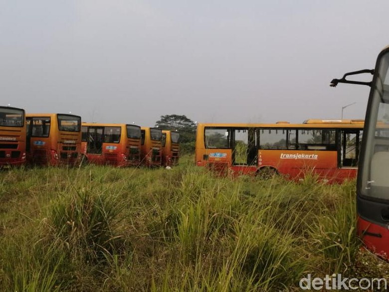 Bupati Bogor Ingin Ratusan TransJ Teronggok di Dramaga Jadi Bus Sekolah Bupati Bogor Ingin Ratusan TransJ Teronggok di Dramaga Jadi Bus Sekolah