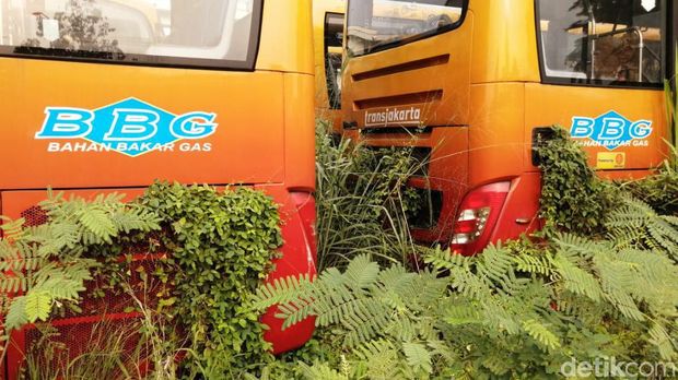 TransJ Tegaskan Ratusan Bus Rongsok di Dramaga Bogor Bukan Miliknya