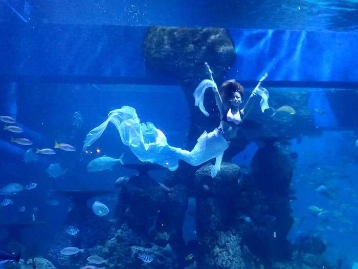 Kontes foto mermaid