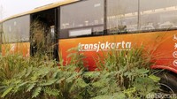 Humas PT TransJakarta, Wibowo, memastikan bus yang berada di lapangan tersebut bukan milik TransJakarta. Namun dia tidak memberikan penjelasan lebih rinci. 