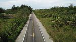 Mulus! Jalan di Timor Leste Ini Digarap BUMN RI