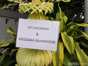 Sederet Artis Kirim Karangan Bunga di Pernikahan Siti Badriah