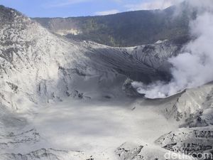 Kata PVMBG soal Kaitan Sesar Lembang dan Erupsi Tangkuban Perahu