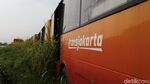 Potret Kuburan Bus Bertuliskan TransJ di Dramaga Bogor