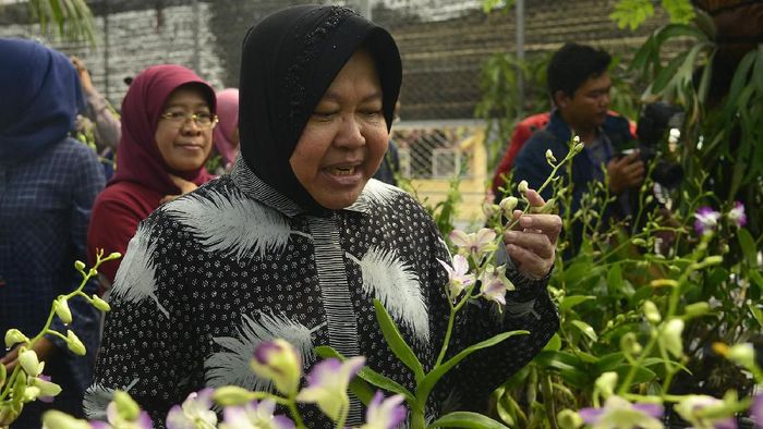 Foto: Istimewa Foto: Istimewa
