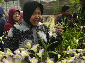 Risma Pastikan Pengelolaan Sampah Ala Surabaya Bisa Diterapkan di Jakarta