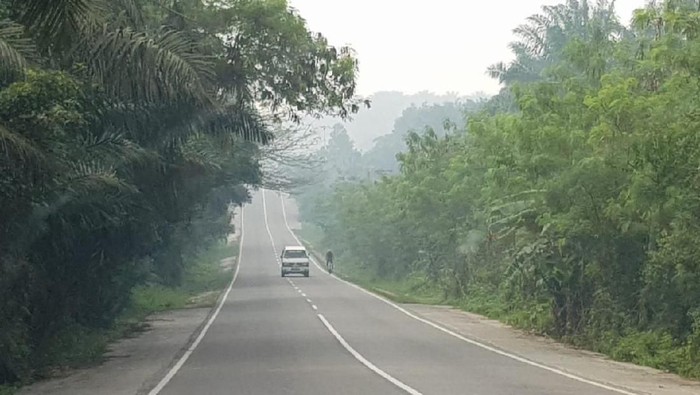 Kebakaran yang meluas di sejumlah titik membuat Jalan Lintas Timur Sumatera (Jalinsum) diselimuti asap.
