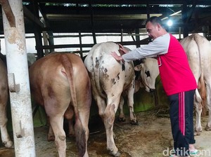 Peternak Ayam hingga Kambing Minta Ini Biar Cepat Pulih dari Corona