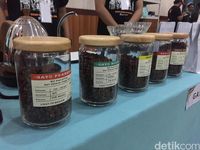  'Ngopi di Museum' Jadi Ajang Belajar Sejarah Sambil Ngopi Lokal 