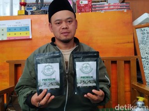 Sluurp! Begini Uniknya Aroma Kopi Pohon Rasamala dari Bandung