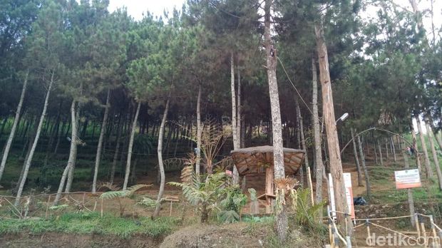 Objek Wisata di Sekitar Gunung Tangkuban Perahu Sepi Pengunjung