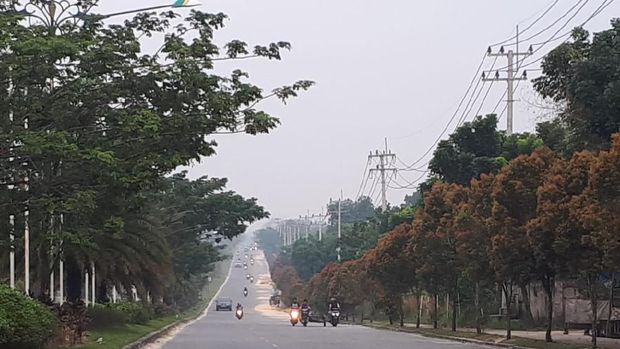 Kabut asap selimuti Kota Pekanbaru.