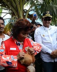 Cekatan! Begini Aksi Menteri Susi Pudjiastuti Saat Kupas Kelapa