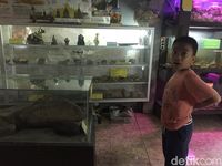 Mengenalkan Arkeologi ke Anak di Museum Situs Kotta Cinna