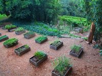 Salah Satu Restoran Terbaik di Dunia Berlokasi di Tengah Kebun Anggur 