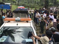 Dibantu Adik Prabowo, Harimau Bonita Dikembalikan ke Habitatnya