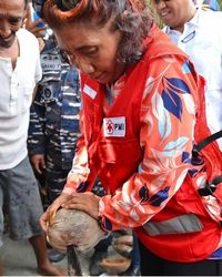 Cekatan! Begini Aksi Menteri Susi Pudjiastuti Saat Kupas Kelapa