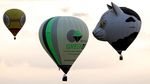 Warna-warni Balon Udara Hiasi Langit Prancis