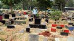 Kemarau, Rumput TPU Tanah Kusir Mengering dan Mati