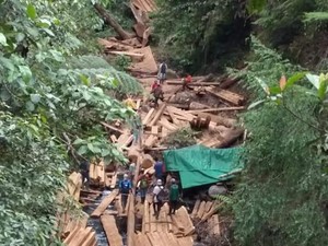 Taman Nasional Gunung Tambora Marak Illegal Logging?