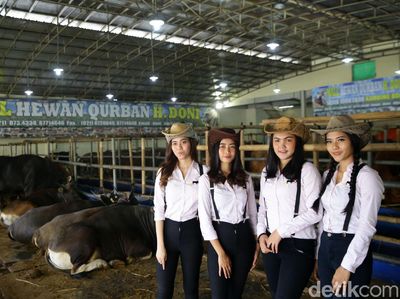 Berburu Hewan Kurban Bersama Para Cowgirl Cantik di Depok
